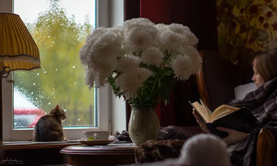 31 октября — осенние чары и букеты с тыквами