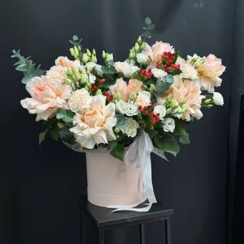 Композиции