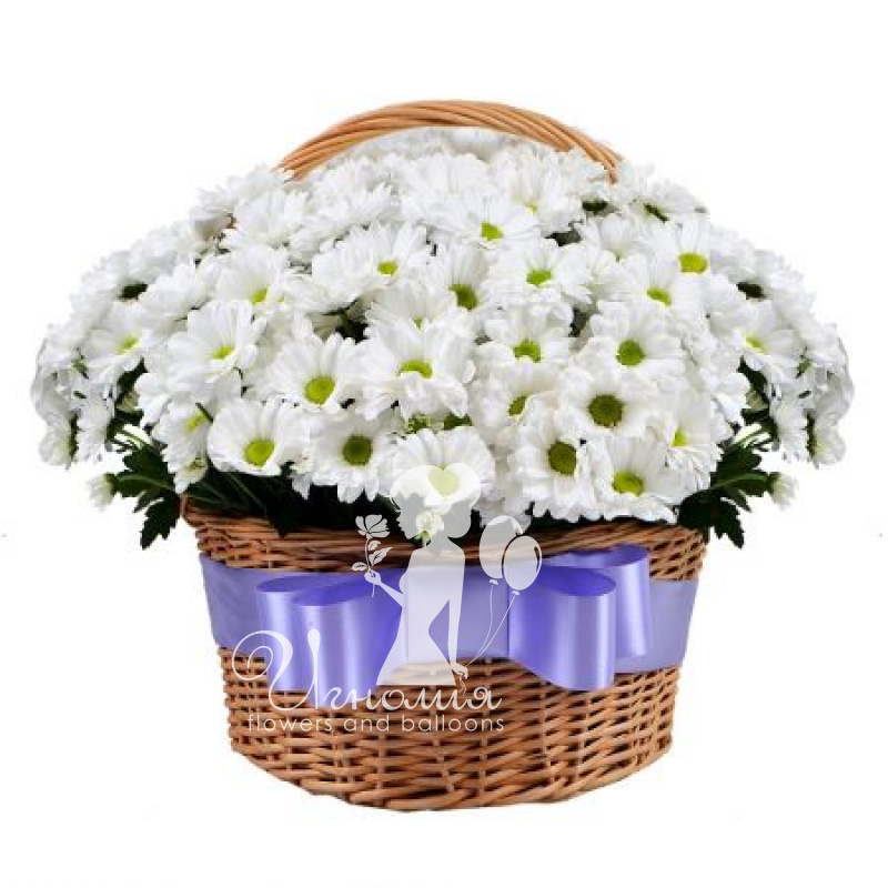 Белые хризантемы в корзине «Безмятежность»