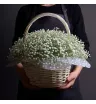 Композиция «Горный воздух»