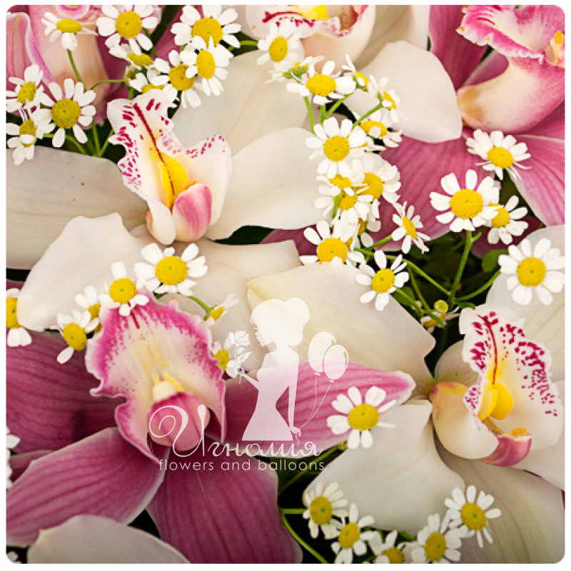 Великолепные орхидеи в корзине &laquo;Идеальная пара&raquo; 2
