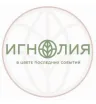 Ссылка