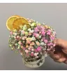 «Зимний цветучино» 1