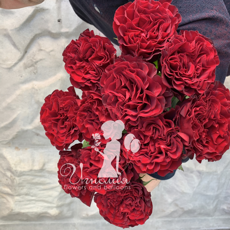 Букет садовых английских роз &laquo;Мадонна&raquo; 2