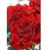 Пионовидные розы в букете &laquo;Омут страсти&raquo; 1