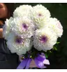 Композиция «Люблю георгины» 3