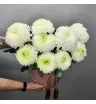 Композиция «Эстетика» 1