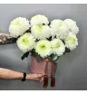 Композиция «Эстетика»