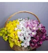 Композиция «Мираж»