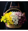 Композиция «Мираж»