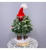 Ёлочка «Хранитель леса»