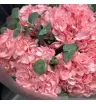 9 розовых гортензий с эвкалиптом.