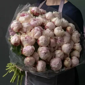 букет из 51 розового пиона