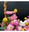 Композиция «Солнечная песенка» 2