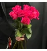 Букет из 11 эквадорских роз ярко-розового цвета в руках