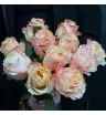 11 пионовидных роз Принцесс Краун(Princess Crown) Эквадор персикового цвета