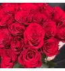 25 красных роз Кения в букете