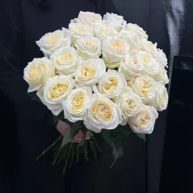 25 белых пионовидных роз Эквадор „Кэнди Лайт“ в букете