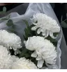 букет из 7 одноголовых белых хризантем с эвкалиптом в белой упаковке
