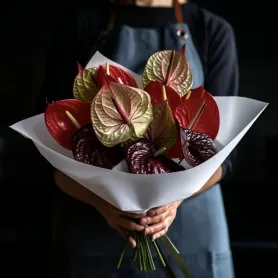 15 красных и бордовых антуриумов в букете