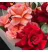 букет из красных и коралловых французских роз с илексом