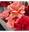 букет из красных и коралловых французских роз с илексом