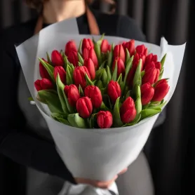букет из 25 красных тюльпанов в светлой упаковке