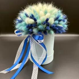 белый и голубой лагурус в коробке