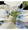 Букет невесты &laquo;Голубая тишина&raquo;
