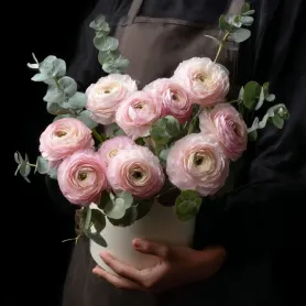 11 розовых ранункулюсов с эвкалиптом в коробке