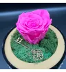 1 розовая роза с зелёным мхом и декоративным ключом в круглой шкатулке