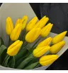 15 жёлтых тюльпанов &laquo;Солнечный импульс&raquo;