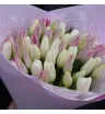 51 белый и розовый тюльпан &laquo;Нежный контраст&raquo;