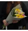 25 тюльпанов микс &laquo;Солнечная палитра&raquo;