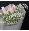 Букет из тюльпанов и гипсофилы &laquo;Тихий рассвет&raquo;