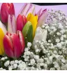 Букет из 11 тюльпанов и гипсофилы &laquo;Праздник в ладонях&raquo;