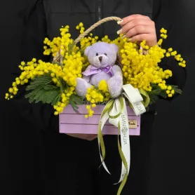 мимоза с мягкой игрушкой в деревянном ящике