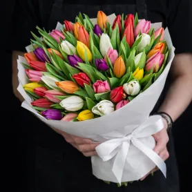 51 белых, розовых, красных, жёлтых, оранжевых и фиолетовых тюльпанов в упаковке
