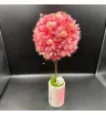 розовые сухоцветы топиарий в кашпо
