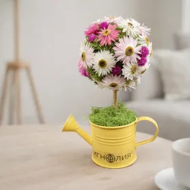 букет из розовых и белых сухоцветов в  форме топиария в лейке