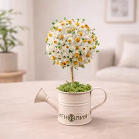 букет иъ белых сухоцветов в форме топиария в леечке