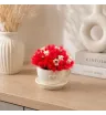 красные и белые сухоцветы с лагурусом в керамической чашке