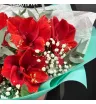 Букет «Алая звезда» 2