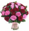 Красно-розовые розы в букете &laquo;Прима&raquo;
