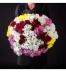 55 кустовых хризантем белого, жёлтого, розового, бордового и сиреневого цветов в большом букете