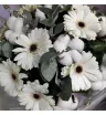 Букет «Де Люкс» 3