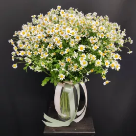 букет из кустовых ромашек.