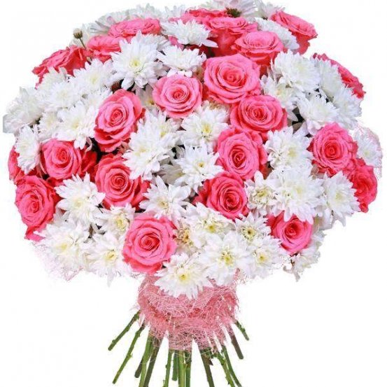 Воздушный букет из розовых роз и белых хризантем &laquo;Пышный бал&raquo;