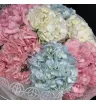 7 розовых,голубых и белых гортензий в букете.