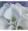 Букет «Белоснежная элекантность» 3